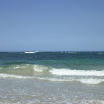 Green tropical ocean waves crashing onto the beach
