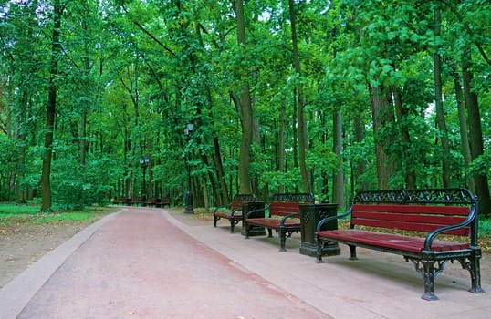 Several benches along a walkway in a summer park                               