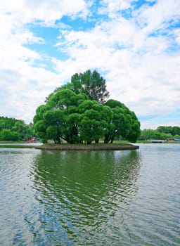 Small island with tall trees with a heart-shaped shadow in the center of the pond                              
