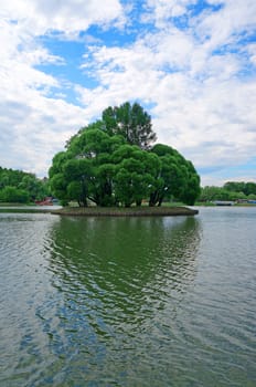  Small island with tall trees in the center of the pond                              