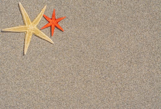 Starfish on sand with copy space and room for text 