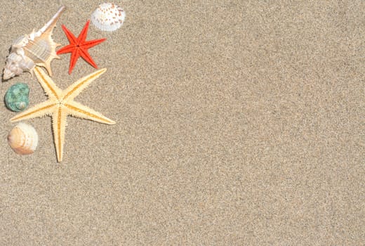 Starfish and shells on sand with copy and text space 
