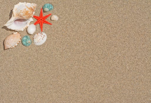 Starfish and shells on sand with copy and text space 