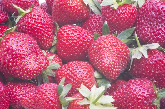 Close up image of fresh strawberries as background