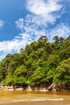 Dense jungle hill and blue sky