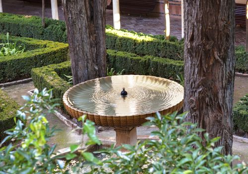 Alhambra  Garden Fountain Granada Andalusia Spain  