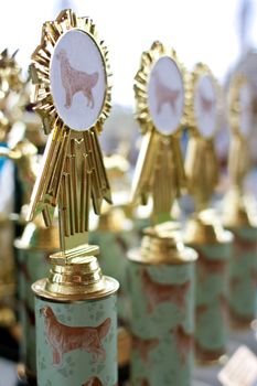 Dog themed trophies on display at dog festival