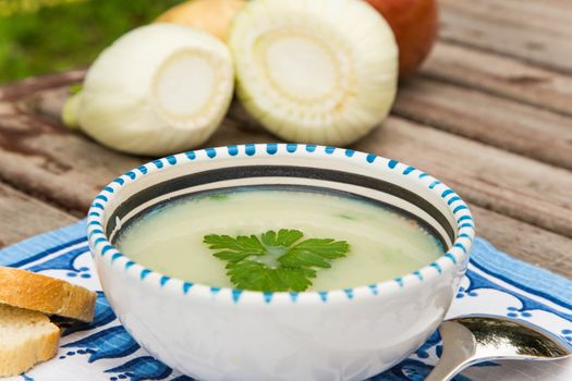 Fennel cream soup with its ingredients in the background