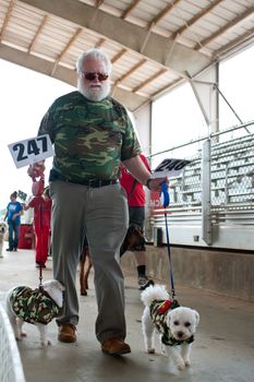 McDonough, GA, USA - May 10, 2014:  A man wearing a camo shirt walks two dogs wearing camo at the annual Dog Days of McDonough festival.