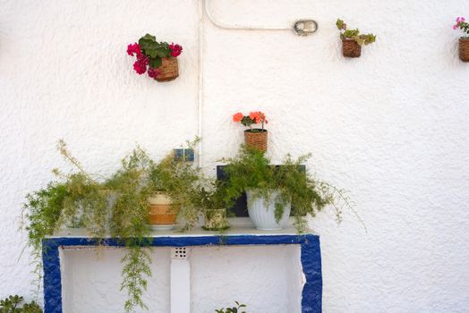 White wall decorated with flowers in pots