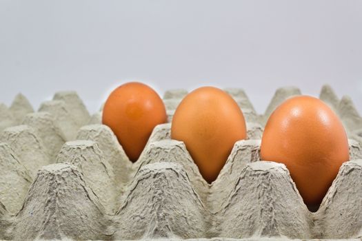 Shelves eggs to prevent egg broken