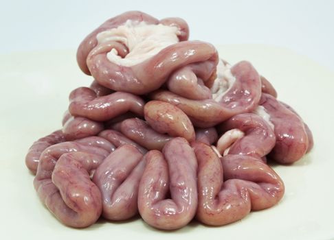 All one bunch of pig intestines