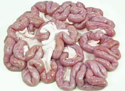 All one bunch of pig intestines