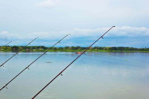 Arranged in a row hook for fishing