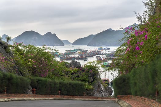 Streets on Cat Ba Island in Ha Long Bay, Vietnam. 