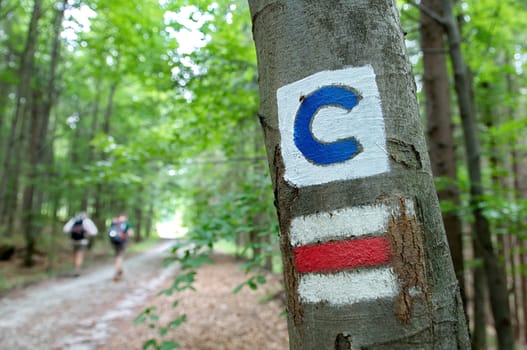 Signs for hikers in the woods