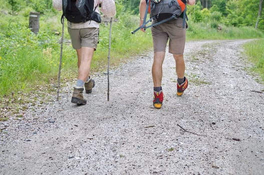 Two caucasian man hiking in the forest