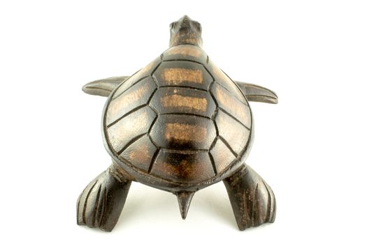 wooden turtle on a white background