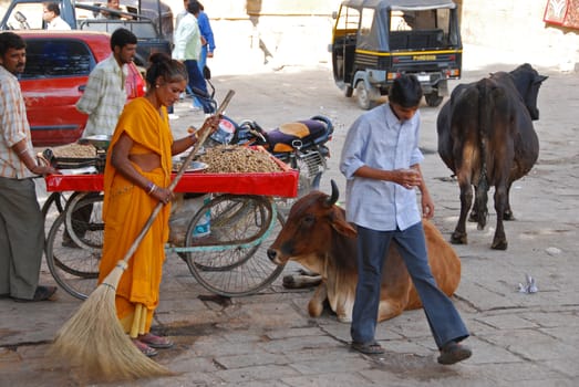 A woman sweeping a street in Jaisalmer, India
01 Jan 2009
No model release
Editorial only