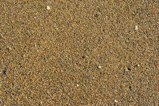 Texture of dark beach sand