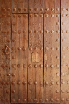 Wooden door located in Monastery La Cartuja in Seville, Spain.