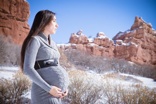 Beautiful expecting mother to be pregnant woman posing in front of nature in a winter wonderland snowscape at a lake by the mountains