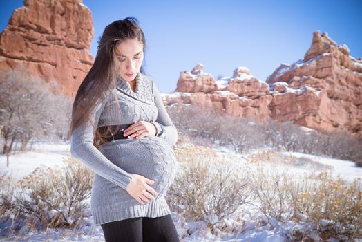 Beautiful expecting mother to be pregnant woman posing in front of nature in a winter wonderland snowscape at a lake by the mountains