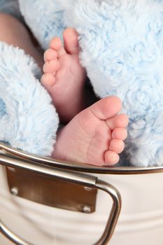 Newborn baby feet in a blue blanket