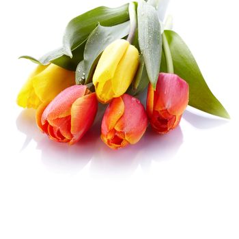 Tulips. Bouquet from yellow and red tulips. Bunch of flowers.