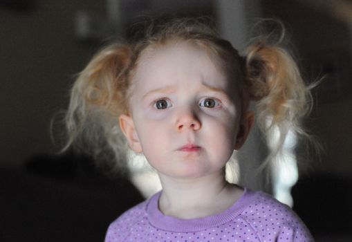 Portrait of an adorable blond little girl, with pigtails and a lavender T-shirt, looking at camera with a confused facial expression, indoors