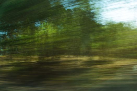 Defocused forest with green foliage, shot with motion blur effect, concept of time passing or traveling by high-speed train or car