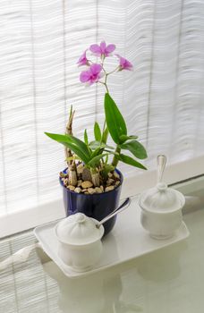 Ceramic utensils on table restaurant with flower decoration