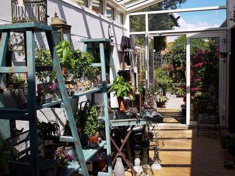 Inside classical garden conservatory greenhouse in a beautiful home garden
