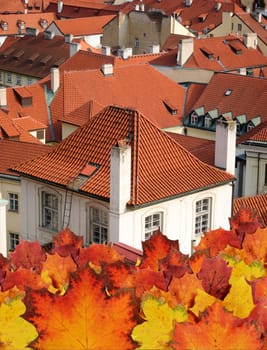 Prague in autumn concept