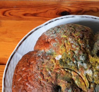 moldy bread