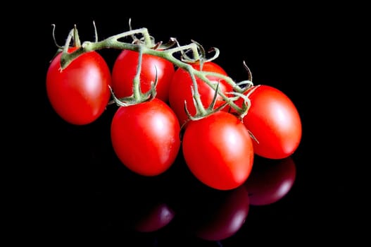 Tomatoes on black