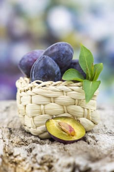 fresh plums in a basket on old wooden background