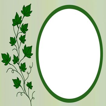 ivy frame