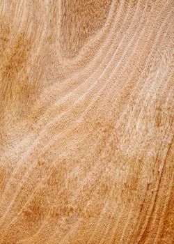 Wooden planks texture. Wooden background.