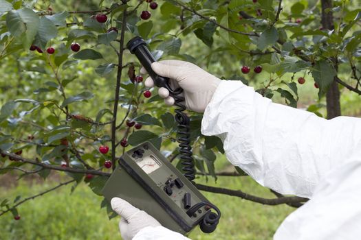 Measuring radiation levels of cherry