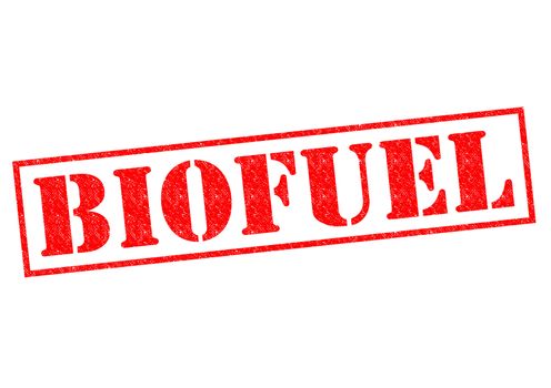 BIOFUEL red Rubber Stamp over a white background.