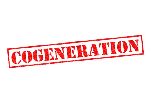 COGENERATION red Rubber Stamp over a white background.