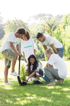 Group of smiling volunteers planting in park