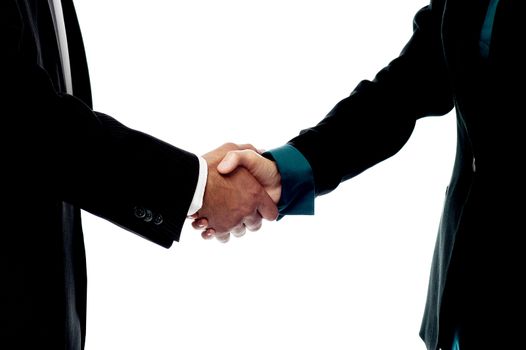 Handshake, hand holding on white background