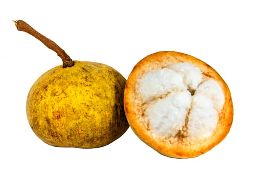 Santol fruit isolated on white background