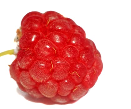 Raspberries very close up                               