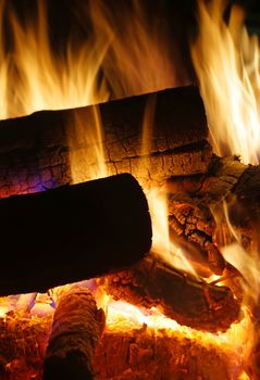 Burning logs closeup                               
