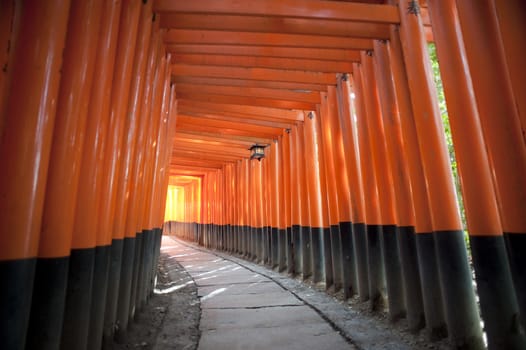 Tunnel of red torii gates at the Fushimi Inari-taisha shrine which line the walkways up the hillside and which were given and inscribed as votive offerings by the worshippers at the temple