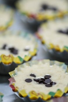 Pastry Muffins Before Baked in oven