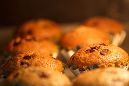 Pastry Muffins